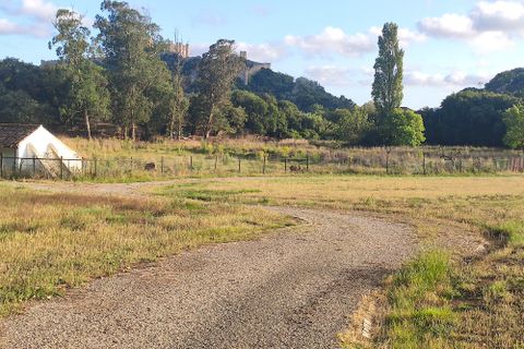 Farm i Obidos, Leiria, Obidos - € 4.500.000 | Ref: MM002410 - foto 29
